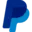 PayPal Icon
